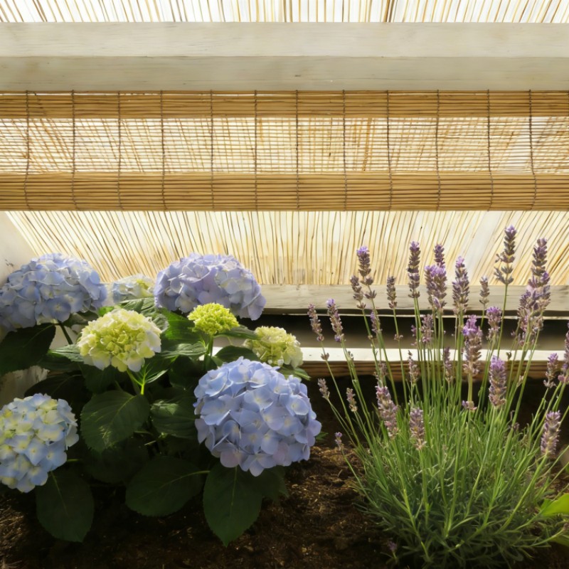 Polycarbonate Polyreed - Image 8